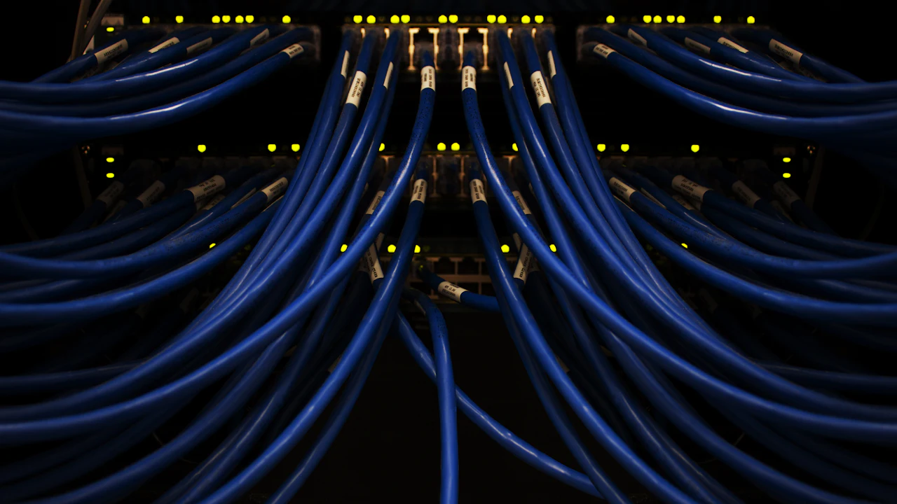 Cables de red azules en un switch